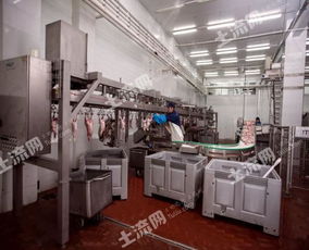 俄羅斯38250平方米現(xiàn)代化肉類加工廠轉(zhuǎn)讓，融合網(wǎng)絡(luò)技術(shù)開發(fā)新機(jī)遇